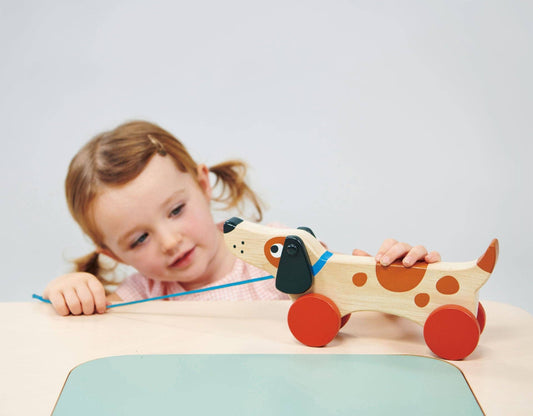 Mentari Toys | Puppy On Wheels Kinderhood Distribution Inc.