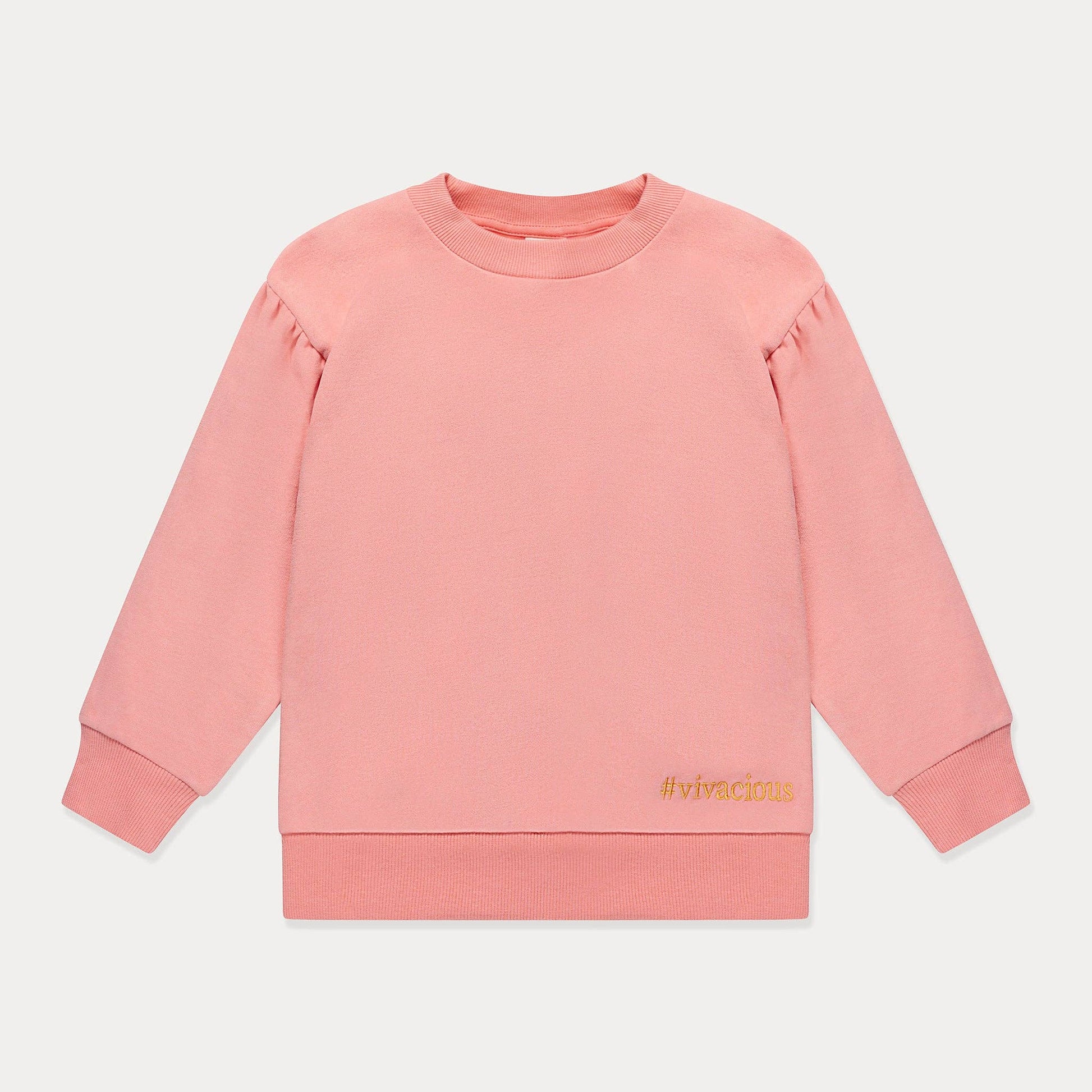 Mini Wardrobes - Toddler Sweatshirt Girls Crewneck Sweatshirt, Soft Fleece Cotton Mini Wardrobes