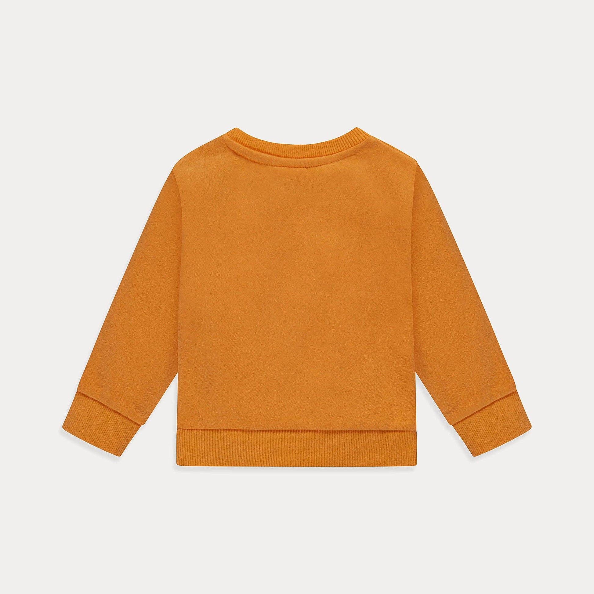 Mini Wardrobes - Baby Sweatshirt, Soft Fleece Cotton Crewneck Infant Sweatshirt Mini Wardrobes
